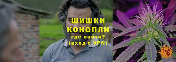 прущие грибы Навашино