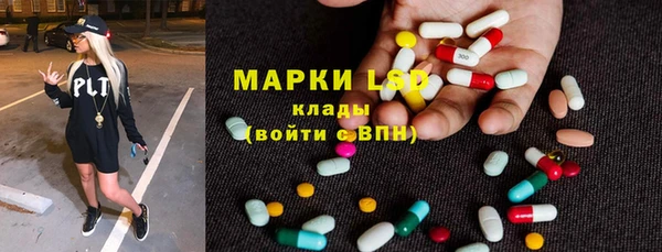 прущие грибы Навашино