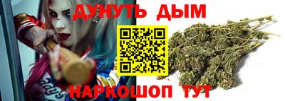 молекула духа Будённовск