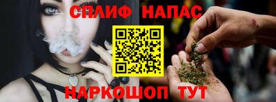 молекула духа Будённовск