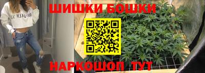 молекула духа Будённовск