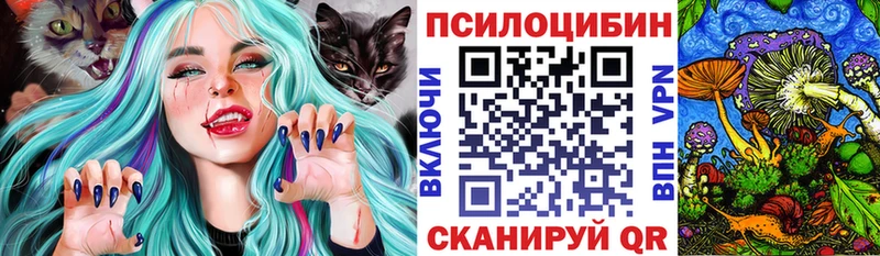 дарнет шоп  Дубна  Галлюциногенные грибы Psilocybe 