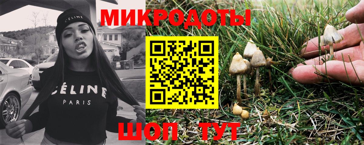 Галлюциногенные грибы Magic Shrooms  Вход с VPN  даркнет сайт  Дубна 