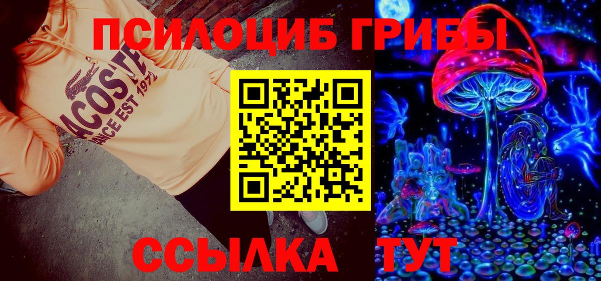 Галлюциногенные грибы прущие грибы Дубна