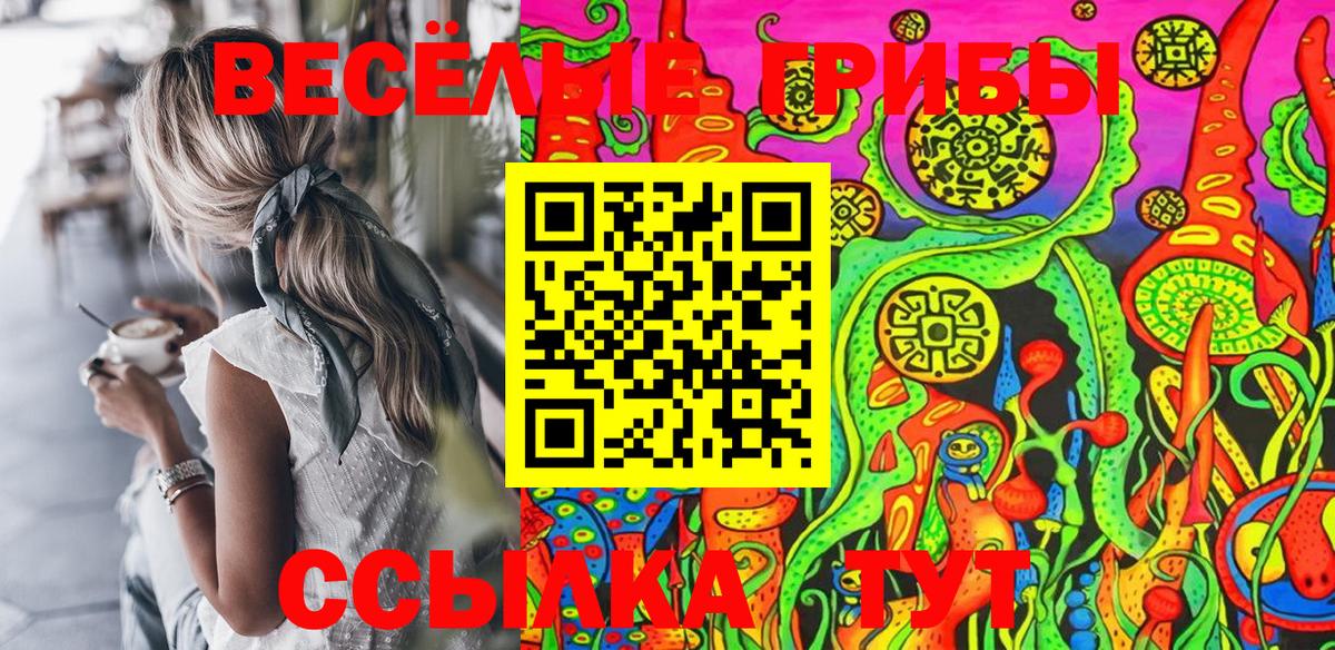 Галлюциногенные грибы Psilocybine cubensis  Дубна 