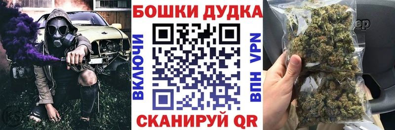 закладка  Дубна  Конопля гибрид 